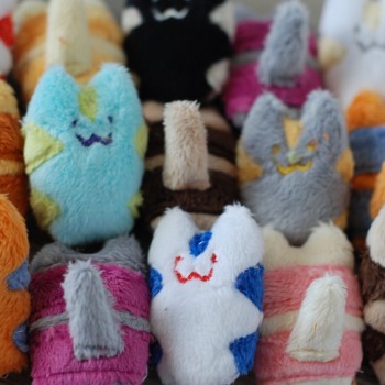 Kitten Nuggets
