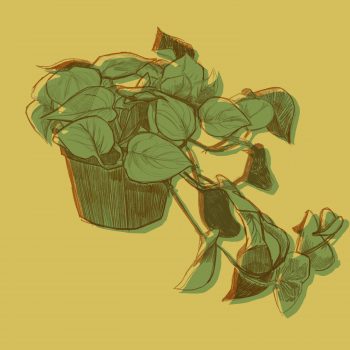 Plant