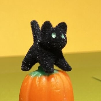 fuzzy scaredy cat